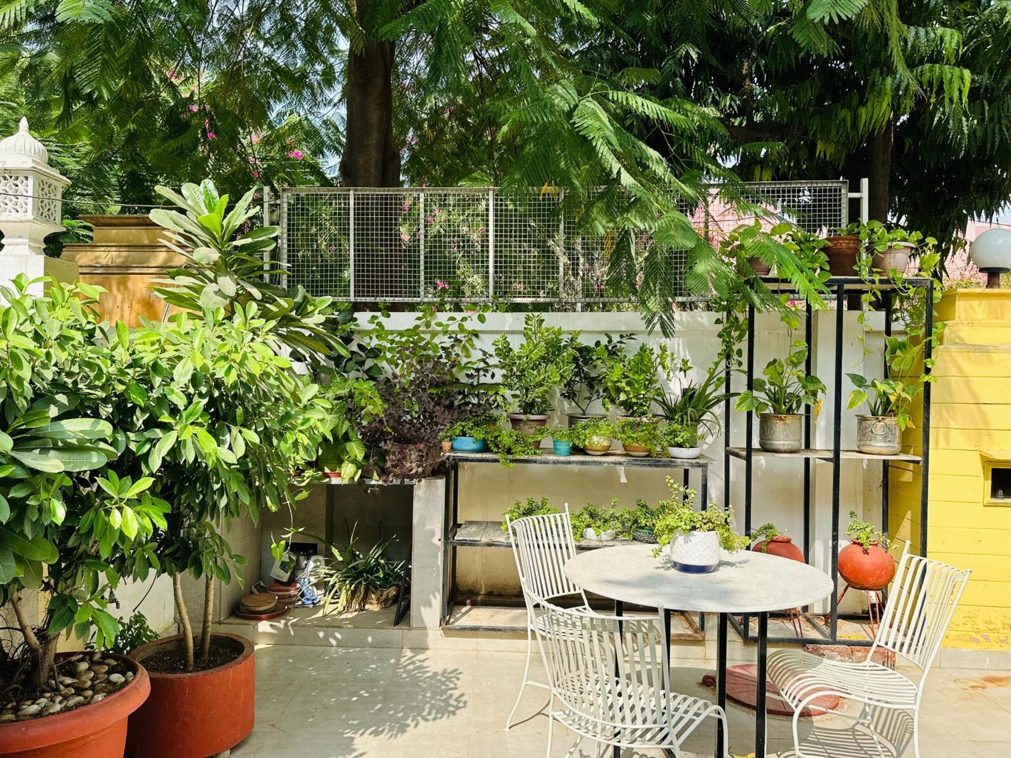 Anandmai - Sustainable Living Spaces Τζαϊπούρ Εξωτερικό φωτογραφία